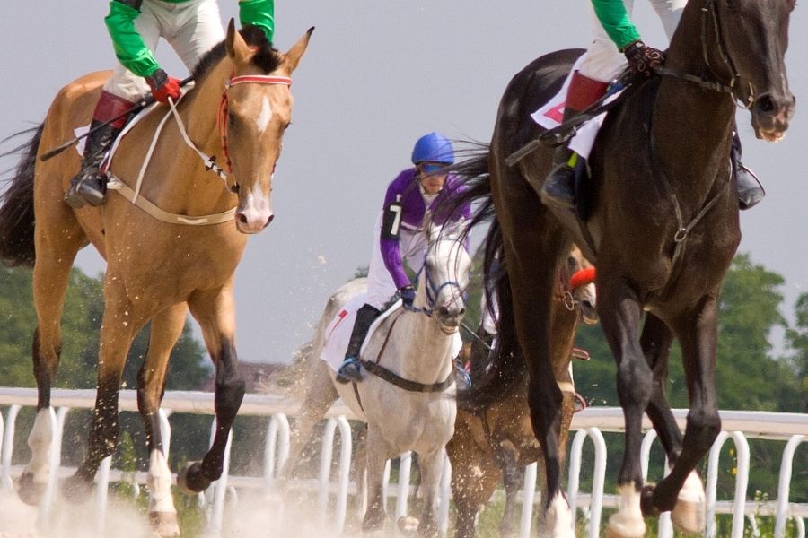 Volunteer at the Burghley Horse Trials