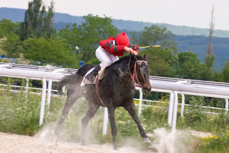 Volunteer at The Derby Meeting